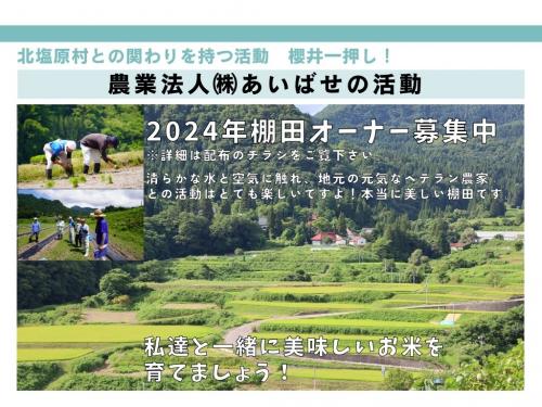 棚田オーナー募集