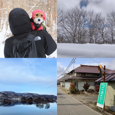 3月の推し写真