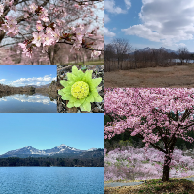 4月きたしおばら推し