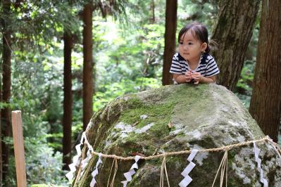 大石にお腹を当てている2歳児の様子
