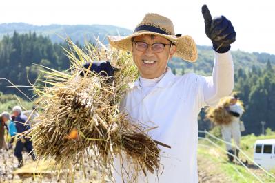 稲を運ぶ棚田オーナー