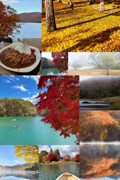 11月の推し