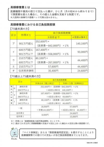 高額療養費簡素化チラシ裏