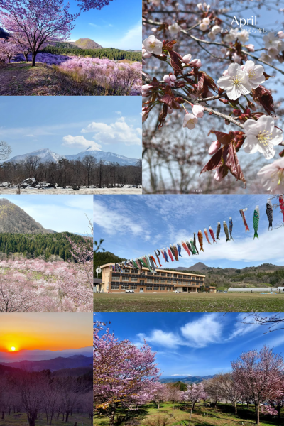 4月推し