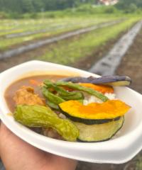 夏野菜カレー