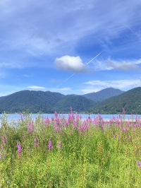 桧原湖畔