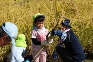 裏磐梯幼稚園の園児