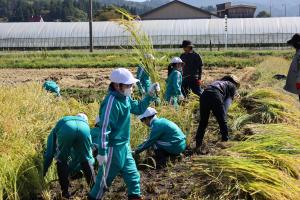 小学生のようす