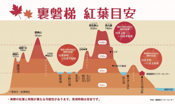 紅葉の目安
