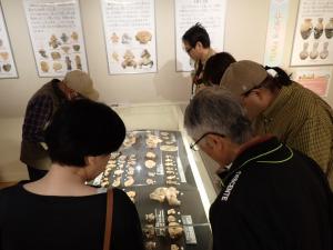 展示に見入る参加者
